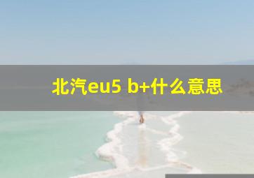 北汽eu5 b+什么意思